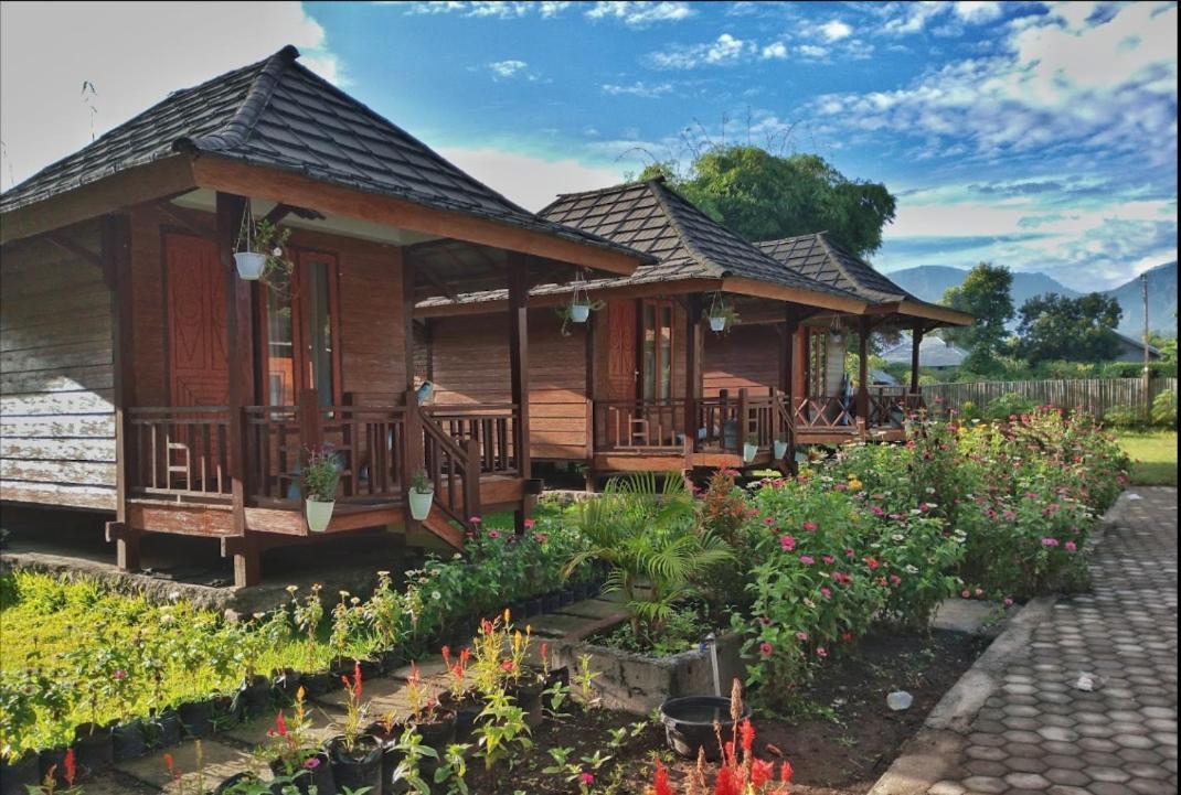Puncak Rinjani Lodge Sembalunlawang Luaran gambar