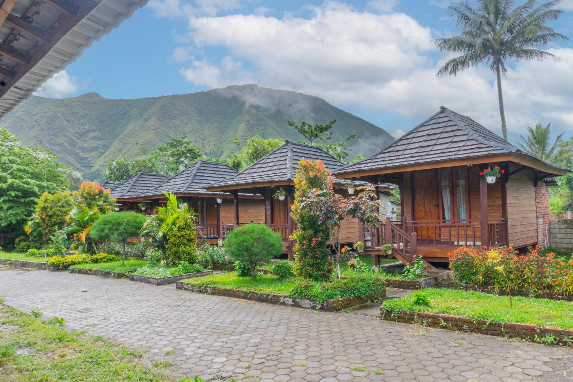 Puncak Rinjani Lodge Sembalunlawang Luaran gambar